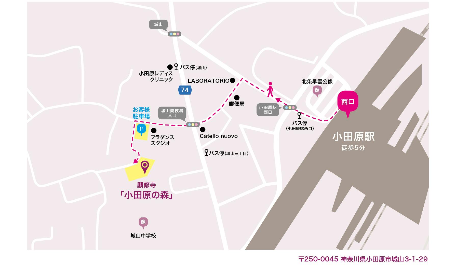小田原の森 案内地図
