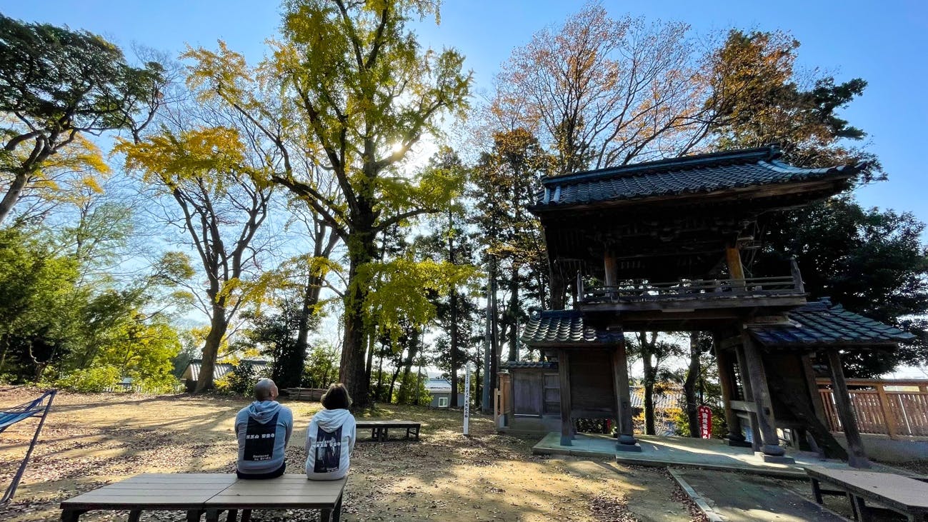 住職インタビュー：境内にはあわら市指定天然記念物の樹齢300年以上の銀杏の大木がそびえ立っている。まっすぐに伸びる佇まいは安楽寺を見守ってきた門番のよう。