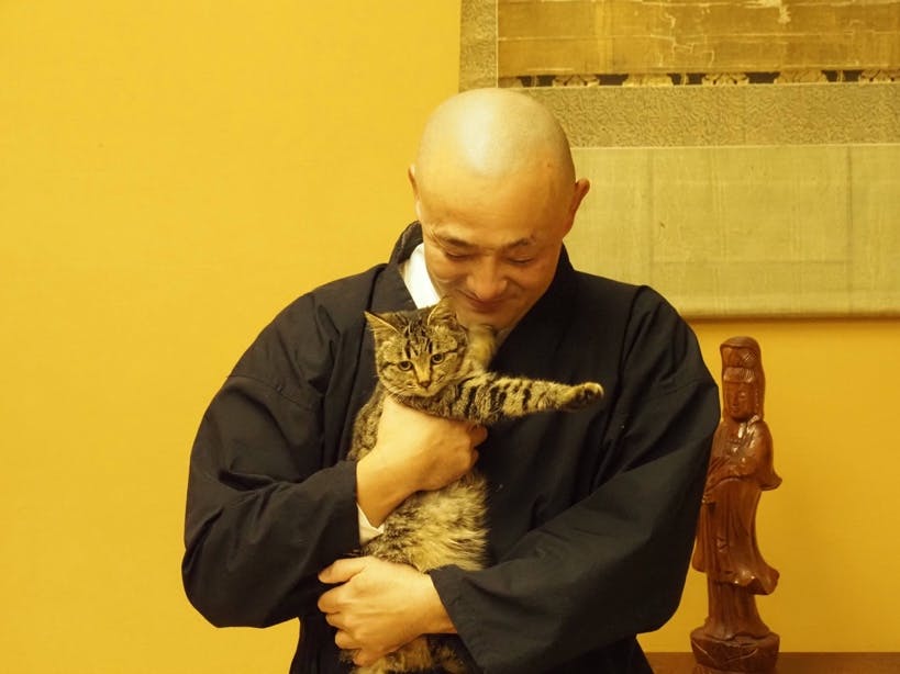 住職インタビュー：保護猫の「ここあ」ちゃんと。保護猫活動を通して、寺の中にいるだけではできない様々な繋がりができているとのこと。