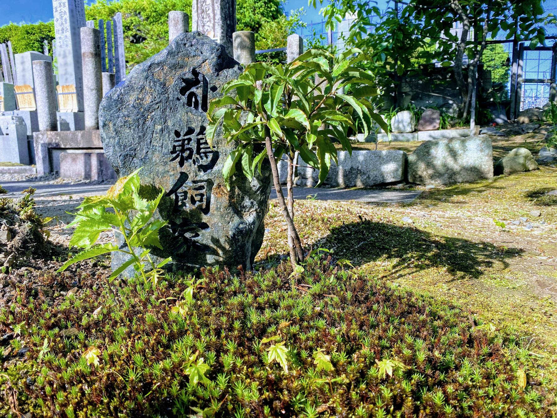 オーダーメイドの庭園墓