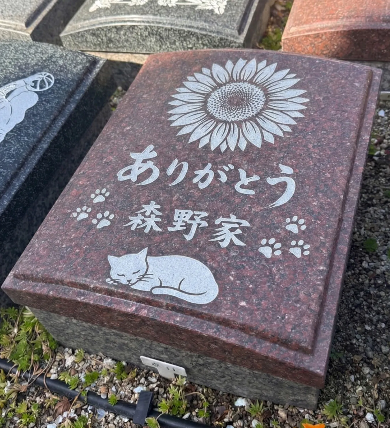 絆